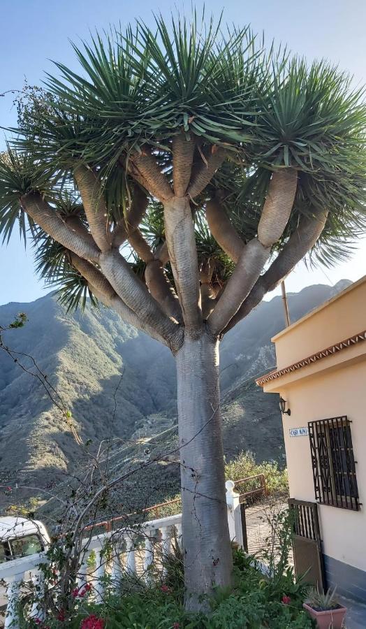 Casa Noni Villa Santa Cruz de Tenerife Kültér fotó